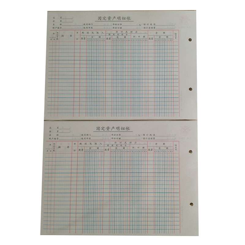 成文厚 固定资产明细账 会计手工账页凭证 乙528-1 26.5*19cm